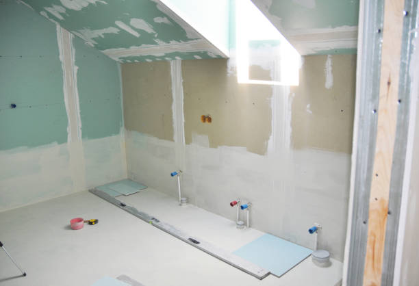 Best Asbestos and Lead Testing During Mold Inspection  in Colfax, WA