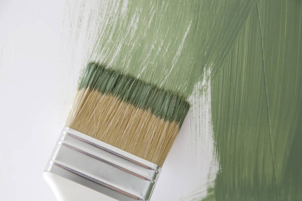 Best Emergency Mold Remediation  in Colfax, WA