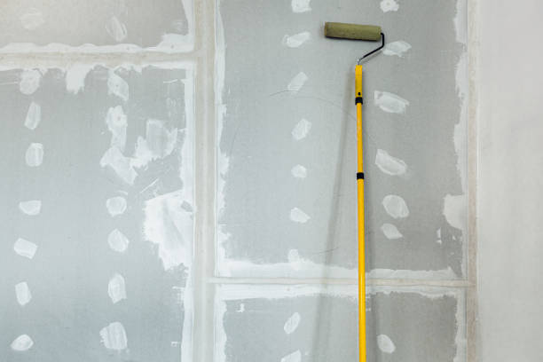 Best Mold Damage Restoration  in Colfax, WA