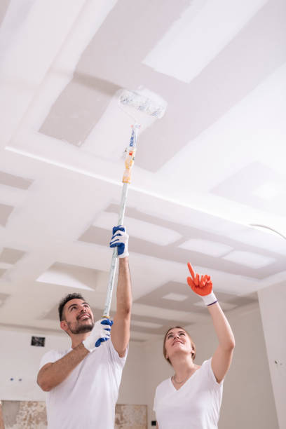 Best Mold Odor Removal Services  in Colfax, WA