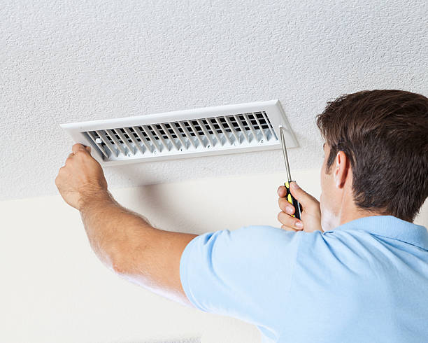 Best Attic Mold Removal  in Colfax, WA