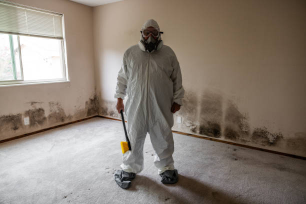 Reliable Colfax, WA Mold Removal Solutions