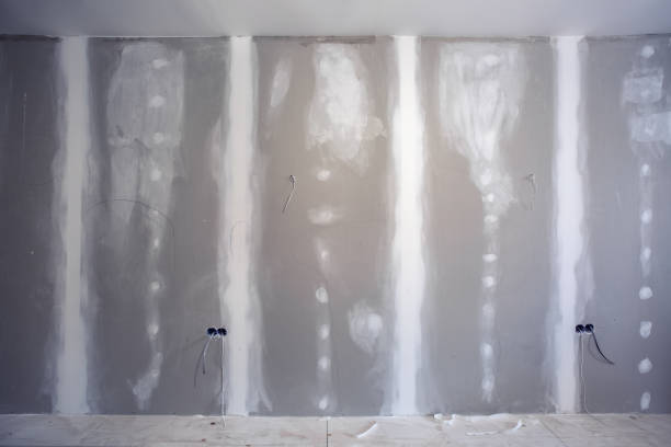 Best Mold Documentation for Insurance Claims  in Colfax, WA
